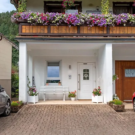 Paffendorf Daire Gutach